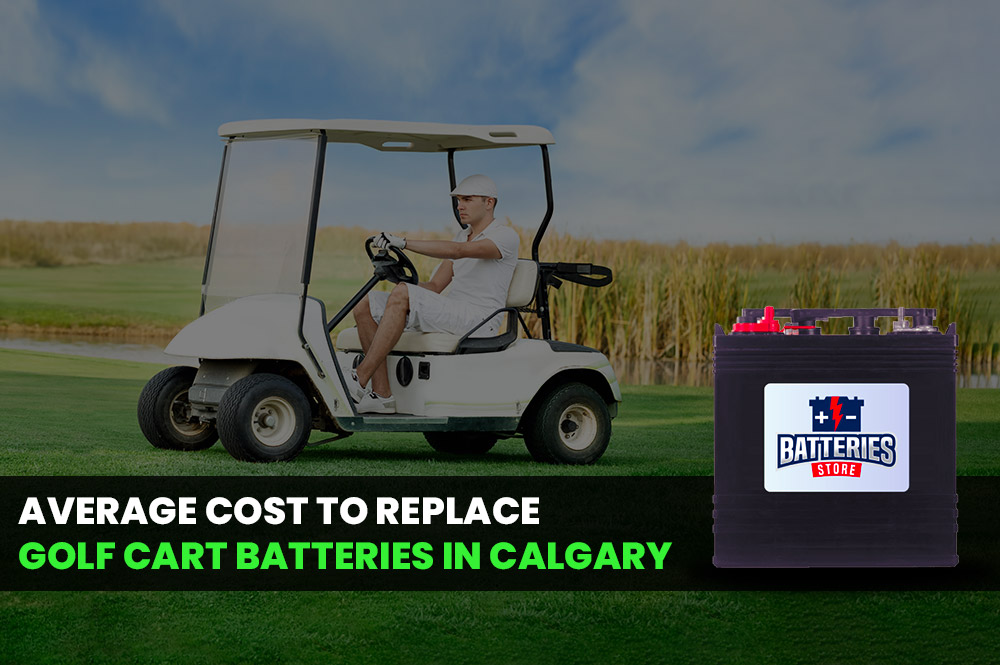 Batteries Store Calgary, AB Car, Truck, Marine, Golf, ATV Battery